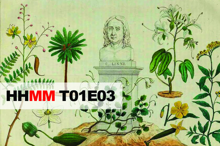 Linneo, la lucha de Clara Schumann y días aburridos – HHMM1x03